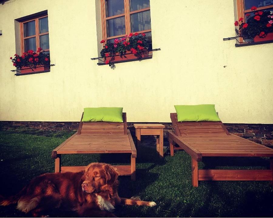 Horsky Apartman Zvonicka Rejvíz Extérieur photo